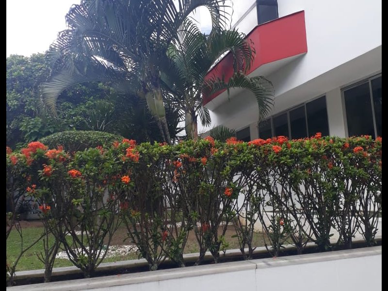 imóvel com 86m² - Costa Azul - Salvador