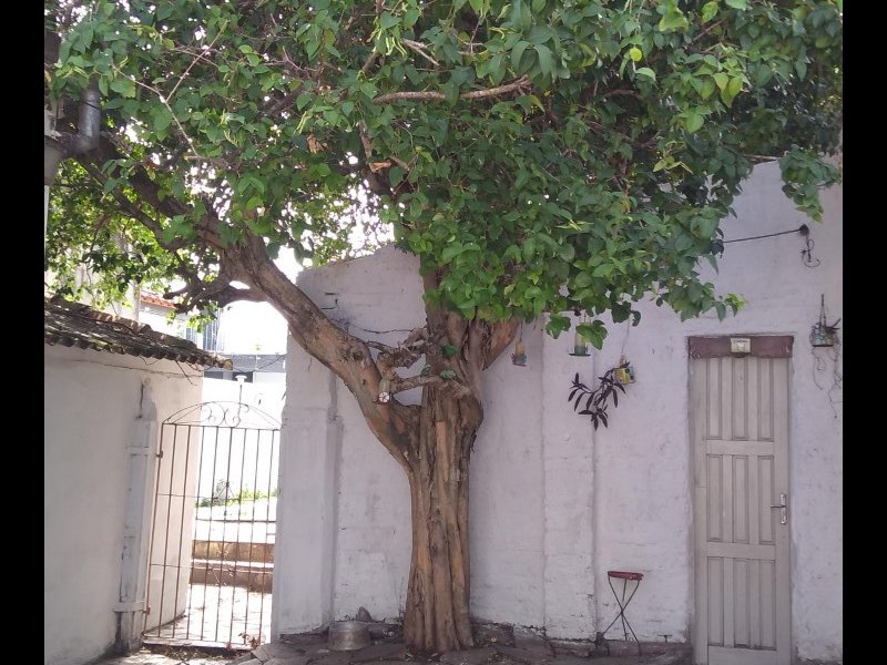 Casa para alugar Centro com 33300000m² e 2 quartos por R$ 2.300 - 1232861412-thumbnail-img-20200122-145642764.jpg