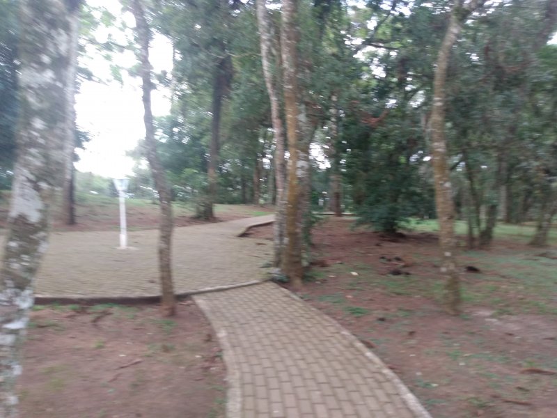 Apartamento à venda Afonso Pena com 56m² e 3 quartos por R$ 169.000 - 405300899-img-20210321-165237845.jpg