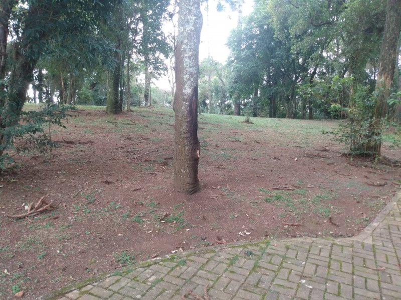 Apartamento à venda Afonso Pena com 56m² e 3 quartos por R$ 169.000 - 427374814-img-20210321-165252423.jpg