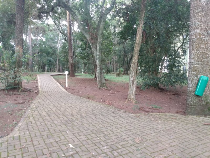 Apartamento à venda Afonso Pena com 56m² e 3 quartos por R$ 169.000 - 471225054-img-20210321-165255374.jpg