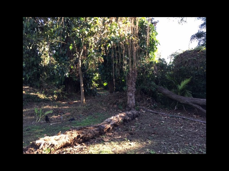 imóvel com 976m² - Interlagos - São Paulo