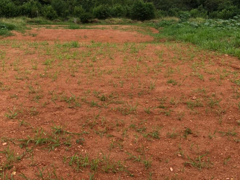 imóvel com 547m² - Jardim Portugal - Valinhos