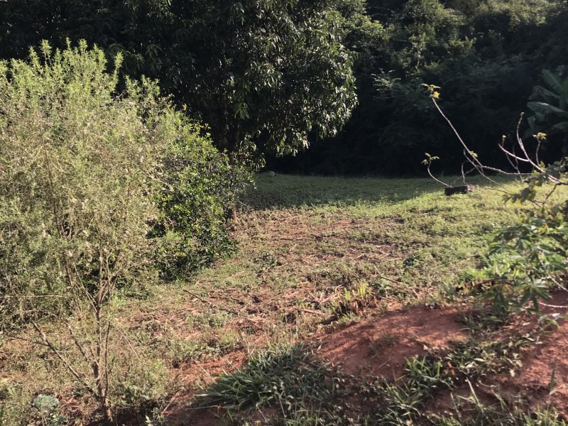 Chácara à venda Quintais do Imperador  com 7m² e 1 quarto por R$ 150.000 - 245602317-31b7b001-3a00-4c30-a713-abd3a5e5b799.jpeg