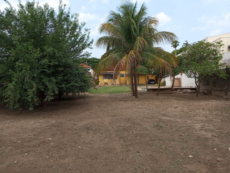 Casa à venda Vila Anselmo com 1032m² e 3 quartos por R$ 550 - 439305295-whatsapp-image-2019-09-24-at-18.jpeg