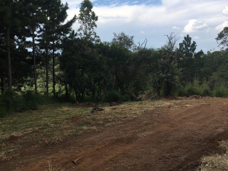 Terreno à venda Curral com 1000m² e  quartos por R$ 45.000 - 1244856662-img-20210218-wa0106.jpg