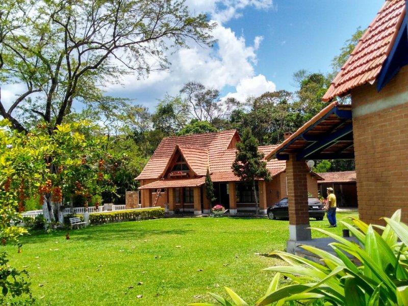 Sítio à venda Buquirinha 2 com 6000m² e 6 quartos por R$ 1.250.000 - 133309908-71e9b65a-45ad-4da9-b5d7-dd30d7a96b69.jpeg