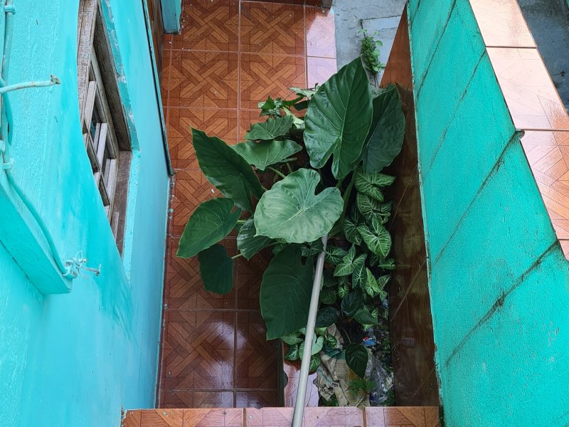 Casa à venda Nova Mirim com 100m² e 2 quartos por R$ 350.000 - 220433053-20210315-151621.jpg