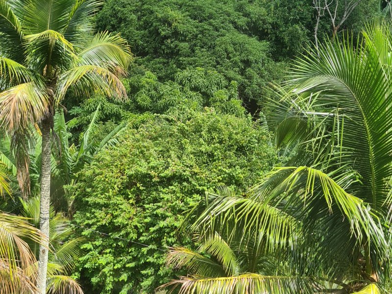 Sítio à venda Rio Seco com 5000m² e 8 quartos por R$ 1.900.000 - 1303273142-20210323-134831.jpg