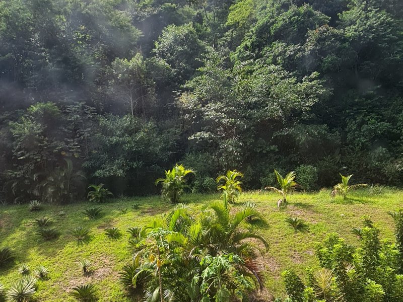 Sítio à venda Rio Seco com 5000m² e 8 quartos por R$ 1.900.000 - 1829444924-20210323-134903.jpg