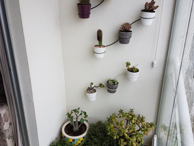 Apartamento à venda Vila da Saúde com 67m² e 2 quartos por R$ 419.000 - 517274161-varanda-02.jpg