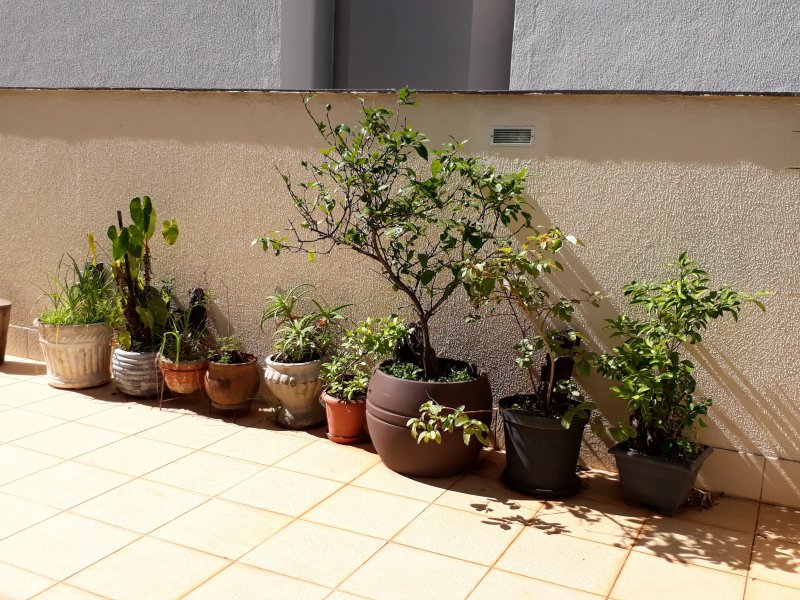 Apartamento à venda Cruzeiro com 250m² e 4 quartos por R$ 1.290.000 - 2087378560-20171013-144047.jpg