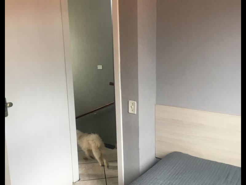 Casa de condomínio à venda Jardim Sao Joao com 75m² e 2 quartos por R$ 290.000 - 733554771-5daee830-05af-4303-a333-ee5bddc25ba6.jpeg