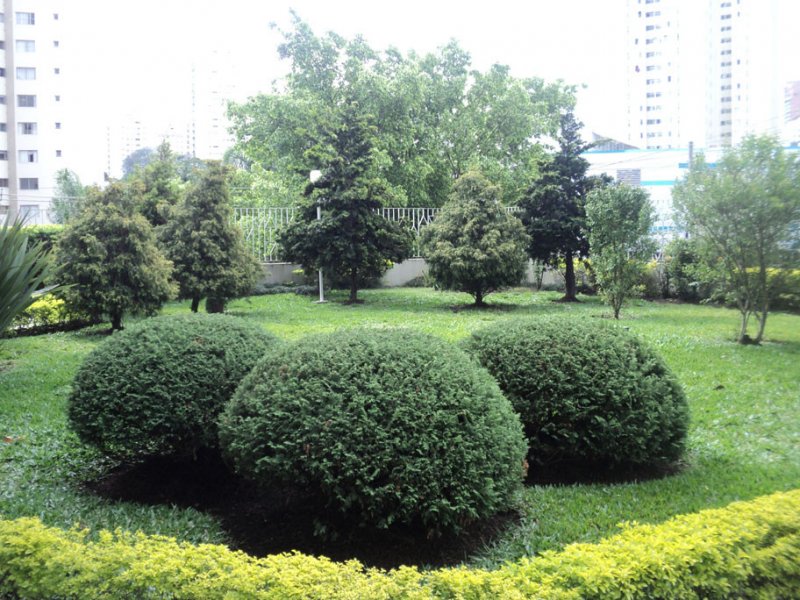 Apartamento à venda Vila Emir com 72m² e 3 quartos por R$ 490.000 - 7735745-jardim1.jpg