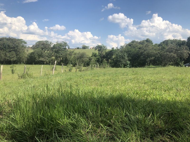 Terreno à venda Alto da Colina com 1300m² e  quartos por R$ 65.000 - 1146021239-1bb80c5e-fd08-4736-a9e6-2e9a7ca22d94.jpeg