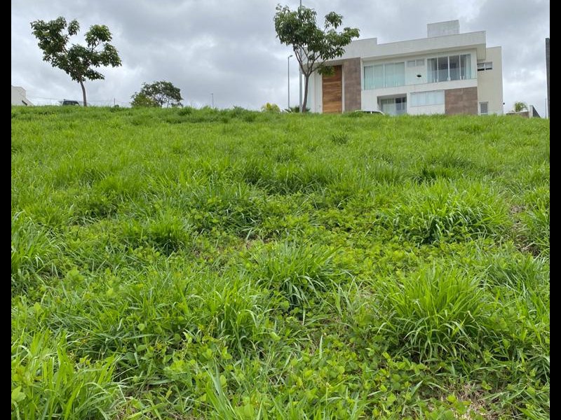 Terreno à venda Angicos com 528m² e  quartos por R$ 350.000 - 1313754563-whatsapp-image-2021-03-24-at-20.jpeg