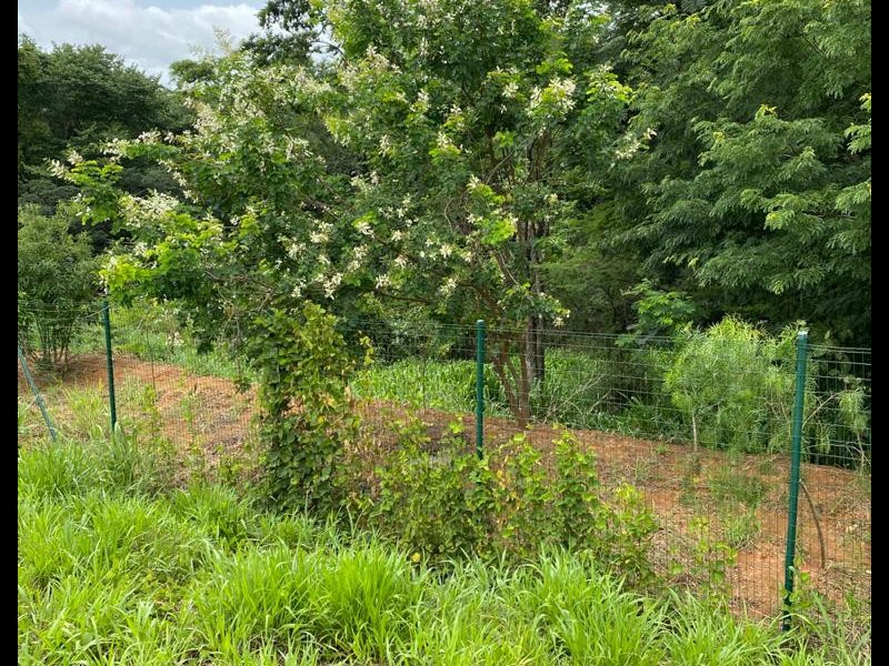 Terreno à venda Angicos com 528m² e  quartos por R$ 350.000 - 1431101235-whatsapp-image-2021-03-24-at-20.jpeg