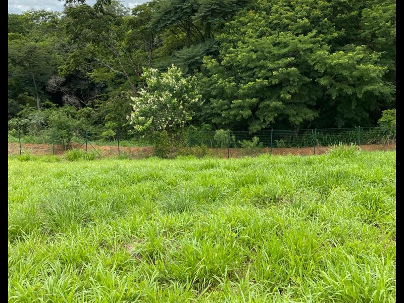Terreno à venda Angicos com 528m² e  quartos por R$ 350.000 - 1486674916-whatsapp-image-2021-03-24-at-20.jpeg