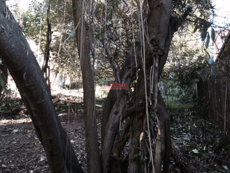 Terreno à venda Sumaré com 313m² e  quartos por R$ 1.200.000 - 154075117-su363012.jpg