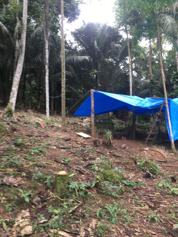 Terreno à venda 11 quilômetros de Paraty entrada para Cunha  com 1000m² e 1 quarto por R$ 190.000 - 865909758-033e2e94-f80e-4715-8494-c25cb02fc983.jpeg