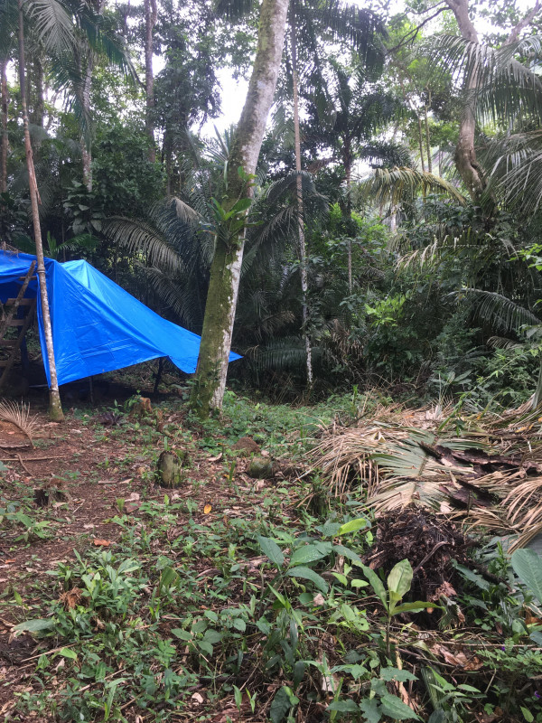 Terreno à venda 11 quilômetros de Paraty entrada para Cunha  com 1000m² e 1 quarto por R$ 190.000 - 935801221-8c0e975f-302b-4ea9-a124-789551932409.jpeg