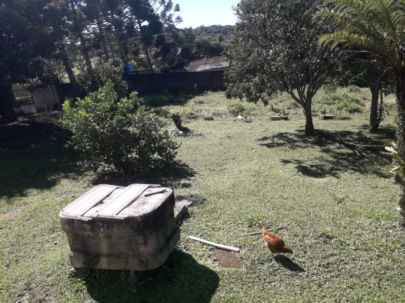Chácara à venda Pavão (Canguera) com 1600m² e 2 quartos por R$ 500.000 - 1016564254-whatsapp-image-2021-03-26-at-09.jpeg