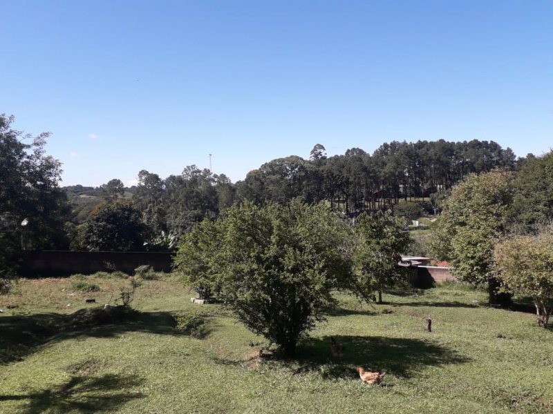 Chácara à venda Pavão (Canguera) com 1600m² e 2 quartos por R$ 500.000 - 1184713839-whatsapp-image-2021-03-26-at-09.jpeg