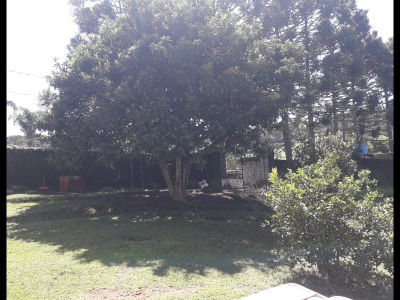 Chácara à venda Pavão (Canguera) com 1600m² e 2 quartos por R$ 500.000 - 1453619476-whatsapp-image-2021-03-26-at-09.jpeg