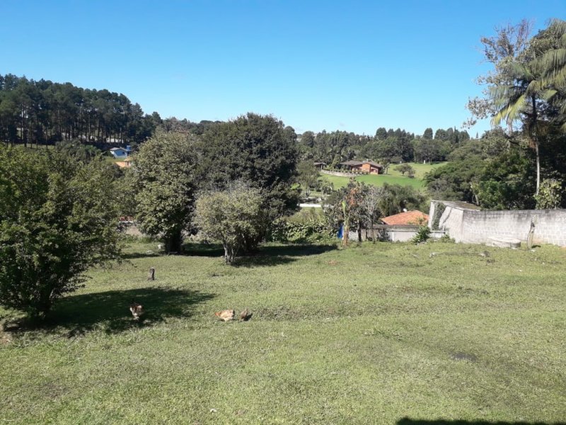 Chácara à venda Pavão (Canguera) com 1600m² e 2 quartos por R$ 500.000 - 1776683123-whatsapp-image-2021-03-26-at-09.jpeg
