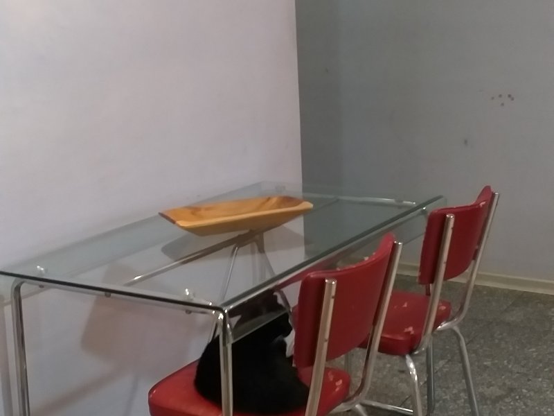 Apartamento à venda Jardim Sao Domingos com 59m² e 2 quartos por R$ 200.000 - 79360531-inbound7641182833908697227.jpg