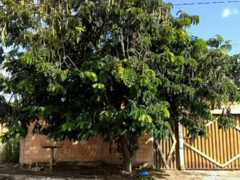 Casa à venda Jardim Privê das Caldas com 98m² e 2 quartos por R$ 85.000 - 893231622-screenshot-20201029-0922522.png