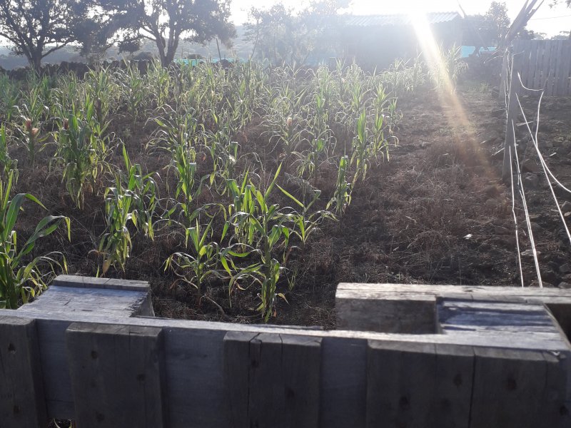 Sítio à venda Interior  com 30m² e 2 quartos por R$ 220.000 - 2070896124-20210319-171827.jpg