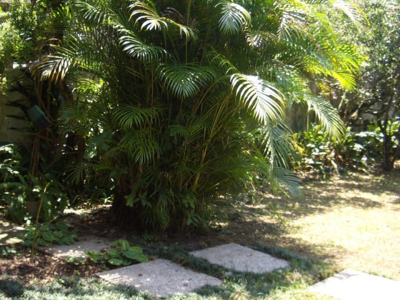 Casa à venda Jardim Imperador com 490m² e 3 quartos por R$ 850.000 - 281984433-whatsapp-image-2021-01-27-at-16.jpeg