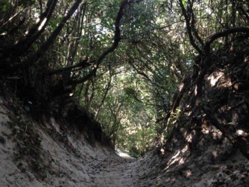 Apartamento à venda Rio Tavares com 120m² e 3 quartos por R$ 749.000 - 1175985372-199cedac-c9a8-4538-a0b6-ef68dbc1b6e7.jpeg