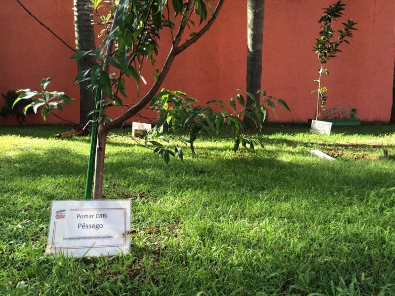 Apartamento à venda Jardim Vazani com 75m² e 3 quartos por R$ 460.000 - 760938461-1141301763.jpg