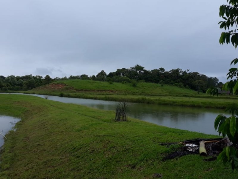 Sítio à venda Rio Bonito com 529000m² e 6 quartos por R$ 5.977.000 - 695789598-img-20190217-wa0013.jpg