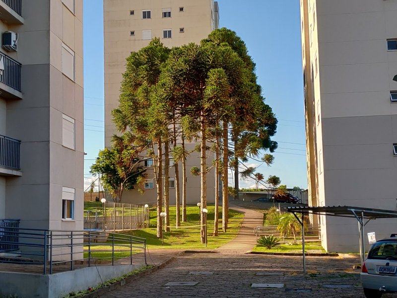 imóvel com 44m² - Jardim Eldorado - Caxias do Sul