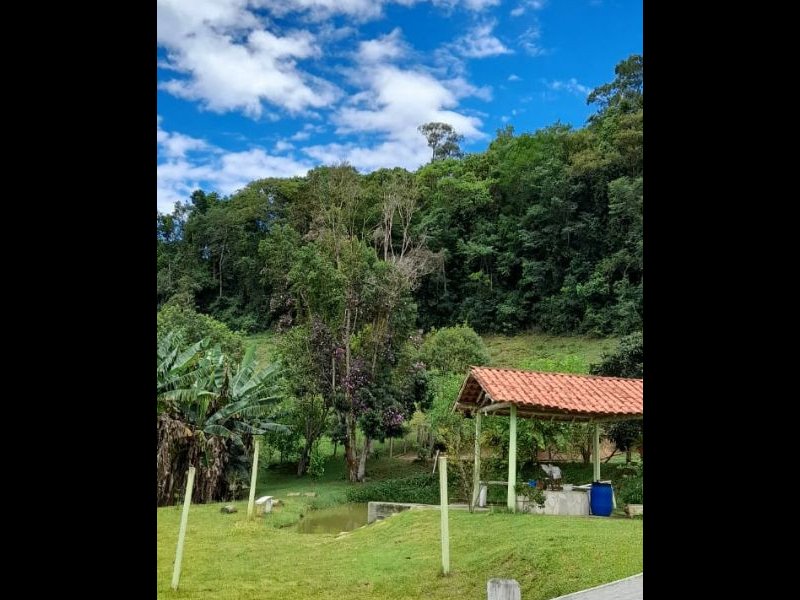 Sítio à venda Centro com 196000m² e 3 quartos por R$ 730.000 - 1142293757-3561e5ec-6cfa-48af-bc9b-bdde209d4ab5.jpg