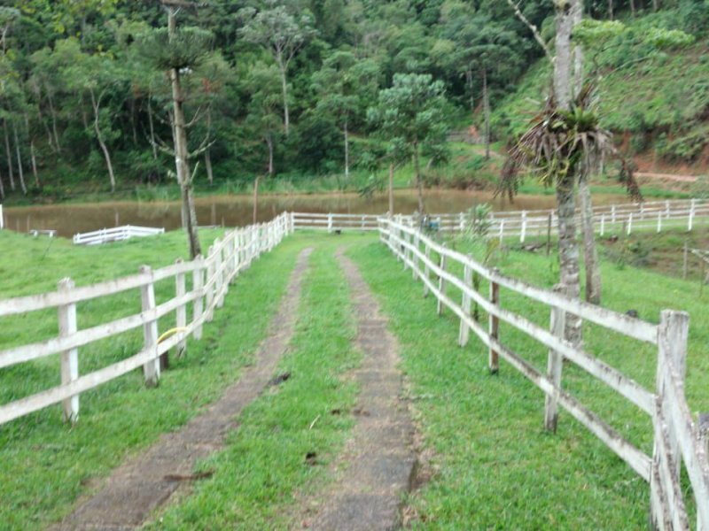 Sítio à venda Centro com 196000m² e 3 quartos por R$ 730.000 - 172404753-3f5dee1e-95a3-451a-bc41-156852ce1c3c.jpg