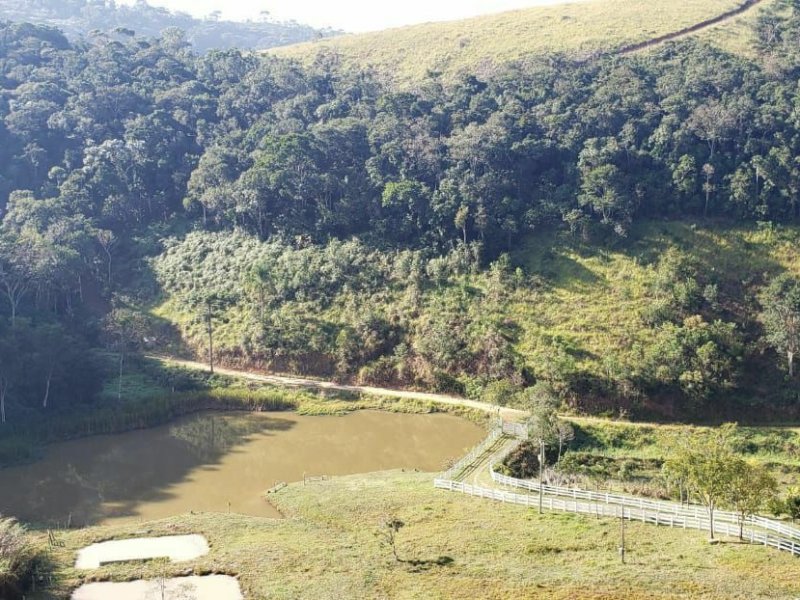 Sítio à venda Centro com 196000m² e 3 quartos por R$ 730.000 - 2037871236-87d00a77-770d-4bc7-a652-52ff288e79da.jpg