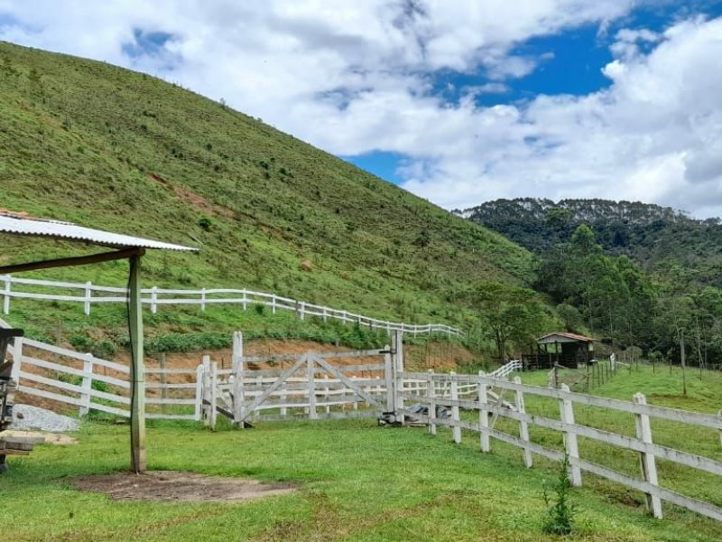 Sítio à venda Centro com 196000m² e 3 quartos por R$ 730.000 - 34305004-1aea7334-f286-45e2-8d08-c9e16adcdcc2.jpg
