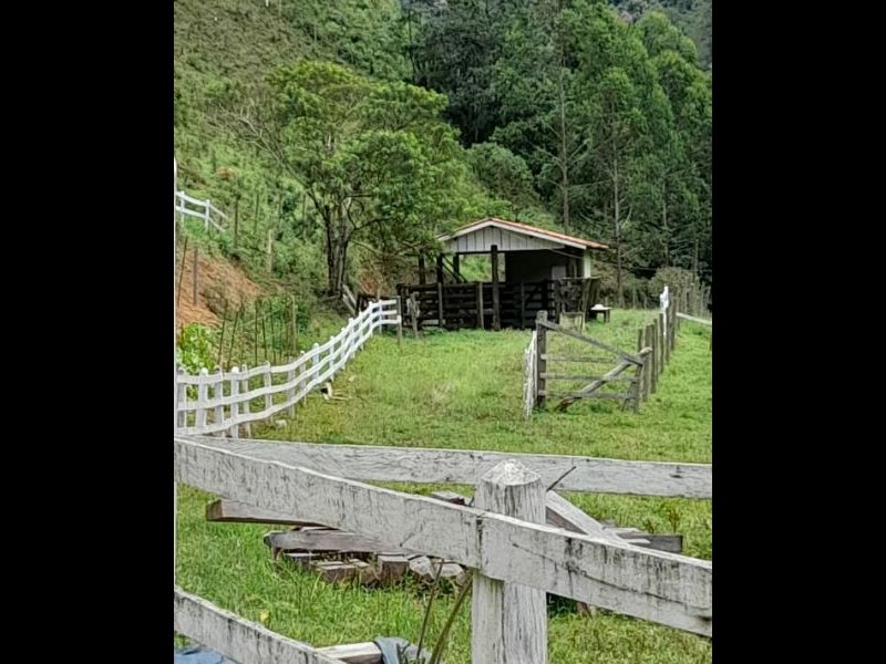 Sítio à venda Centro com 196000m² e 3 quartos por R$ 730.000 - 34805926-f55de645-b097-4520-a6d6-f0058de6532f.jpg