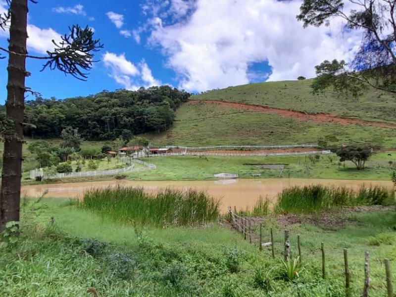 Sítio à venda Centro com 196000m² e 3 quartos por R$ 730.000 - 393462252-d70dc8eb-9771-42f4-80fb-13e01ca4d89c.jpg