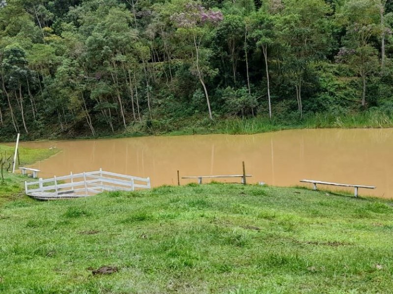 Sítio à venda Centro com 196000m² e 3 quartos por R$ 730.000 - 994853129-2b65026e-2cb8-4099-aec3-336bf86f9c62.jpg