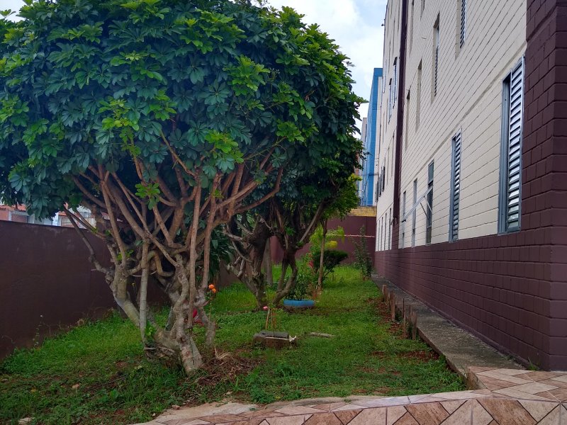 Apartamento à venda Conjunto Residencial José Bonifacio com 48m² e 2 quartos por R$ 155.000 - 516155965-img-20210113-121457170-hdr.jpg