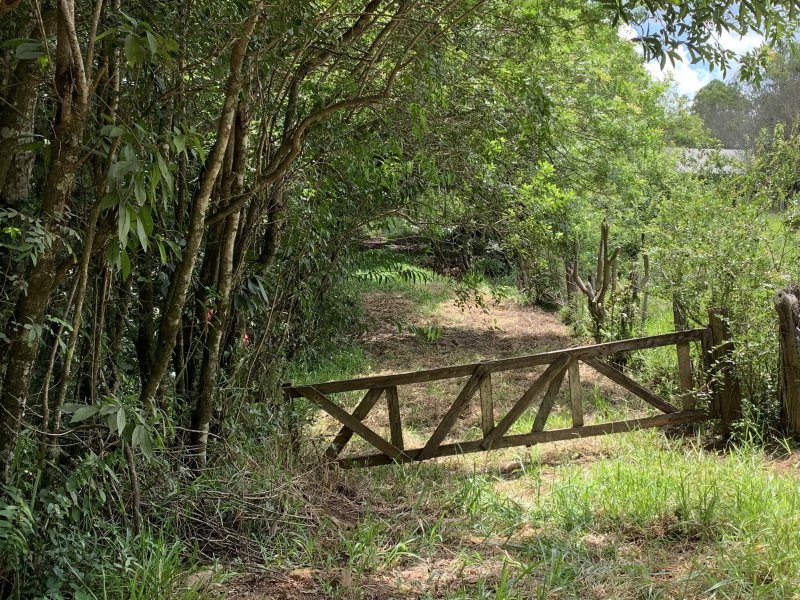 Chácara à venda Dom Feliciano com 14m² e 1 quarto por R$ 1.200.000 - 714205487-49fedf98-9589-4b52-bc54-18dd4fcf80e3.jpeg