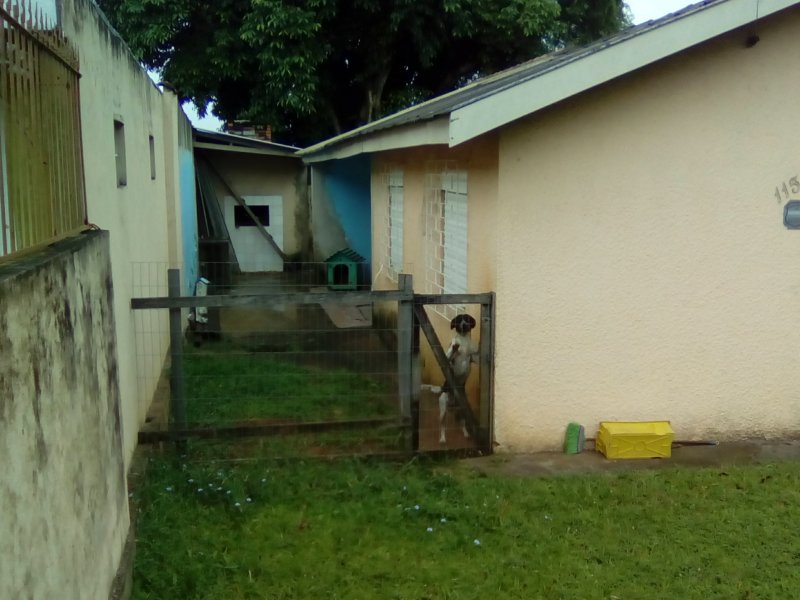 Apartamento à venda Jardim Algarve com 73m² e 2 quartos por R$ 150.000 - 2135172920-img-20171126-115640.jpg