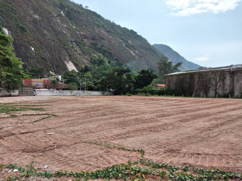 Terreno à venda Vargem Grande com 2054m² e  quartos por R$ 3.081.000 - 1911961593-inbound2544443816541449135.jpg