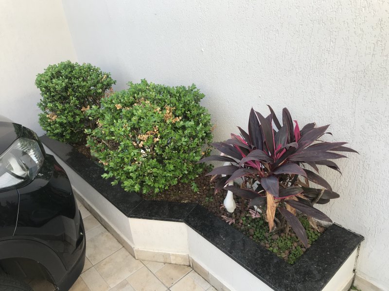 Casa à venda Jardim Bandeirantes com 220m² e 3 quartos por R$ 695.000 - 175521487-d4f0b5d8-311f-49b2-93b8-835d393c4248.jpeg