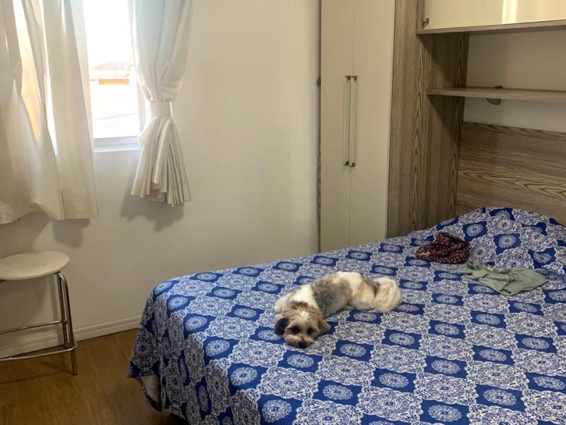 Apartamento à venda Vila Alpina com 60m² e 2 quartos por R$ 300.000 - 1863325222-photo-2020-11-15-16-20-18-16.jpg